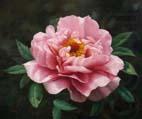 Realistic Pink Rose, unknow artist